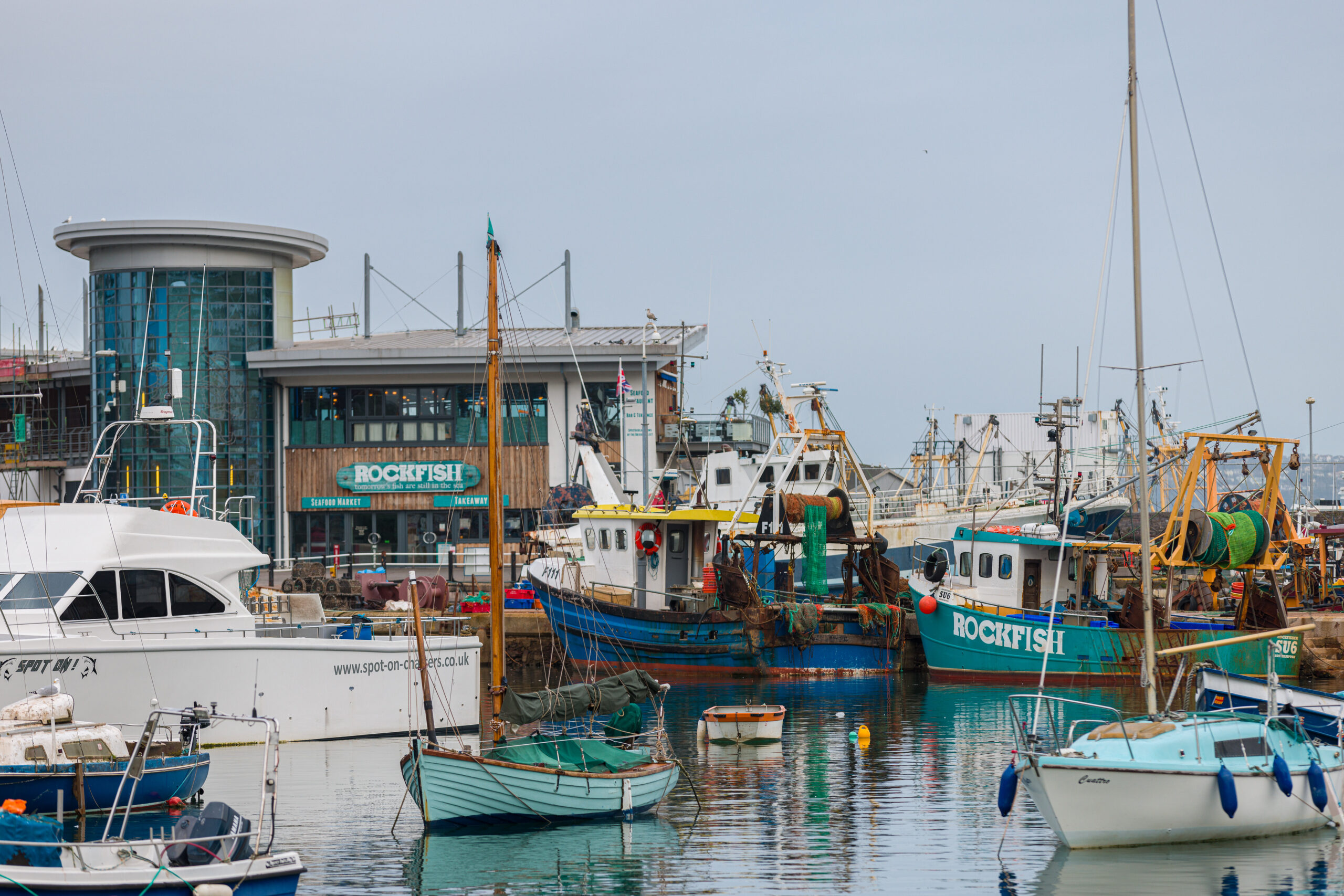 2022-02-07-Rcokfisher-rockfish-brixham-006-4K